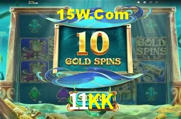 11KK Rio de Janeiro - Licenses